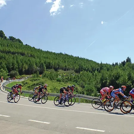 Put Zuke Vi Lejlighed *