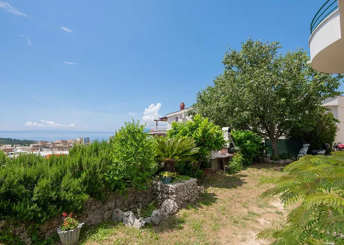 Put Zuke Vi 马卡尔斯卡