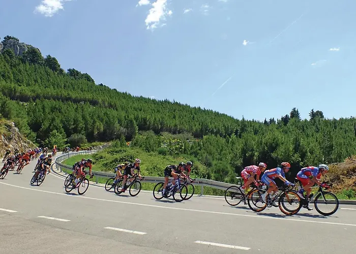 Put Zuke Vi 公寓 *